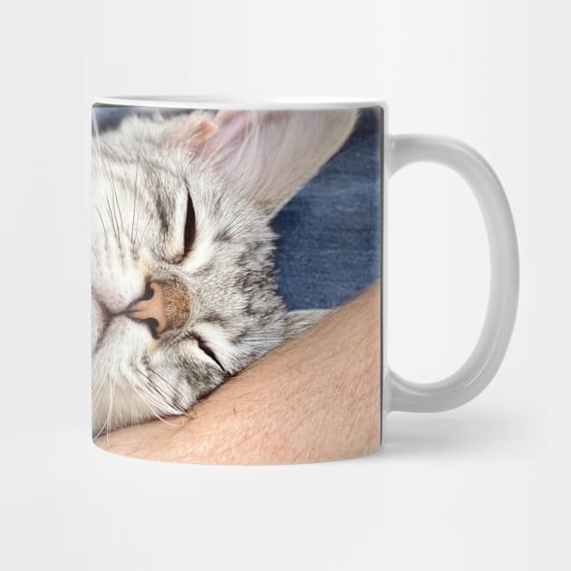 Cat Cafe: Ruffles (gifts) by VisualSpice